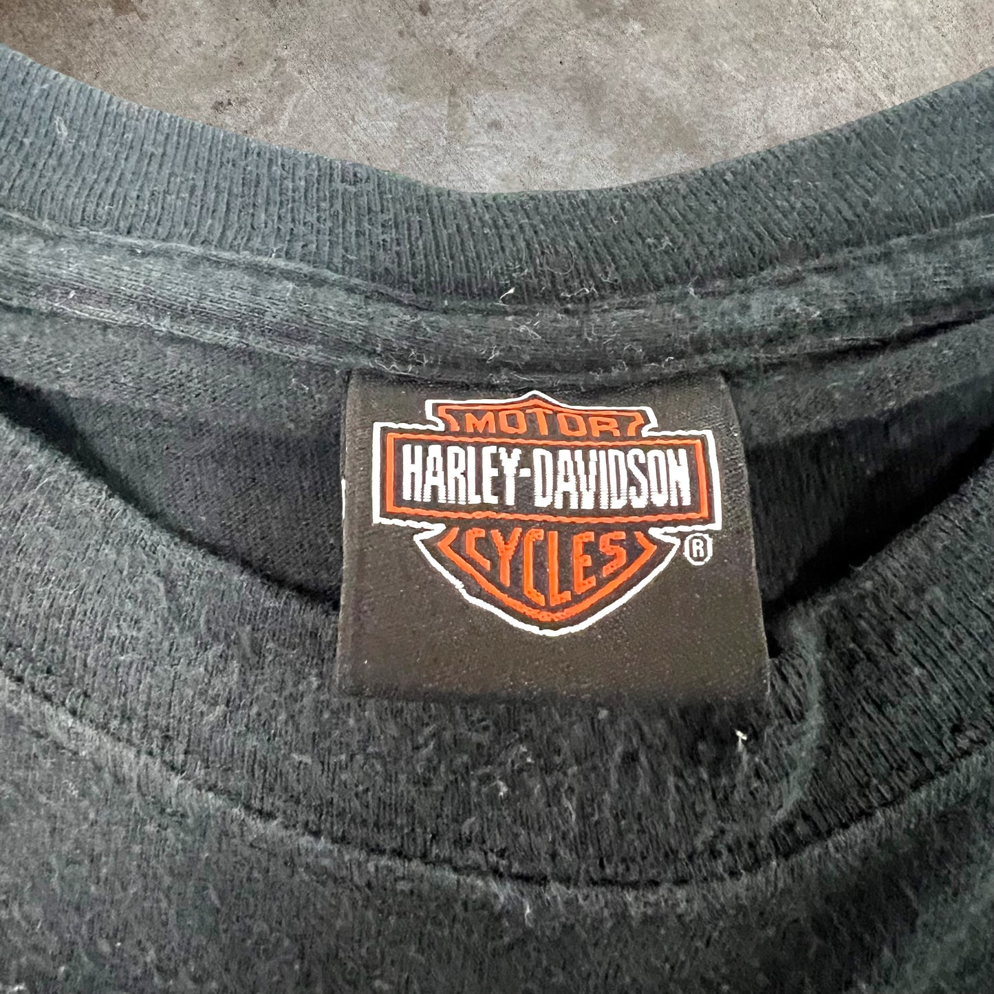 (XXL) Y2K Harley Davidson Florida Tshirt